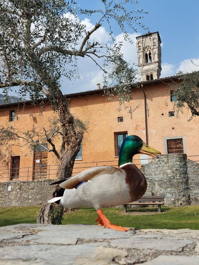 Le Allegre Comari Di * Ossuccio