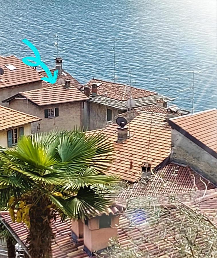 Le Allegre Comari Di *